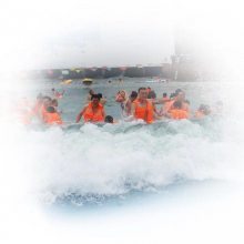 【河南專業人工造浪設備、人工造浪池 、造浪機設備圖片】河南專業人工造浪設備、人工造浪池 、造浪機設備圖片大全