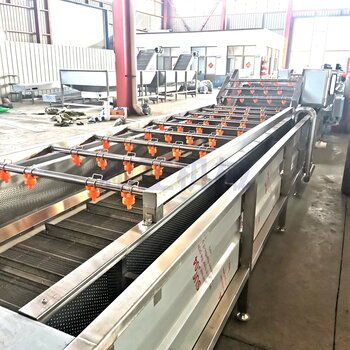 和正機(jī)械食堂洗菜機(jī)多功能毛桃氣泡清洗機(jī)果蔬鼓泡翻浪清洗機(jī)