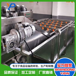 水蜜桃氣泡噴淋清洗機(jī)批發(fā)價(jià)格