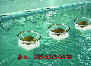 溫泉spa水療設備供應,優(yōu)質(zhì)水上樂園設施廠家直銷